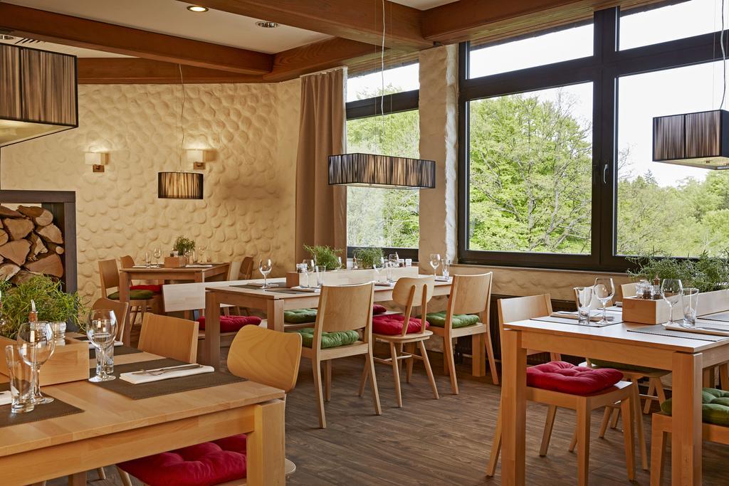 H+ Hotel Willingen Віллінген Екстер'єр фото