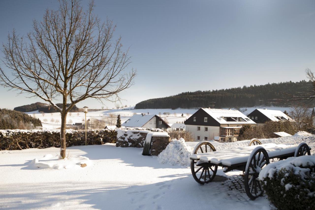 H+ Hotel Willingen Віллінген Екстер'єр фото